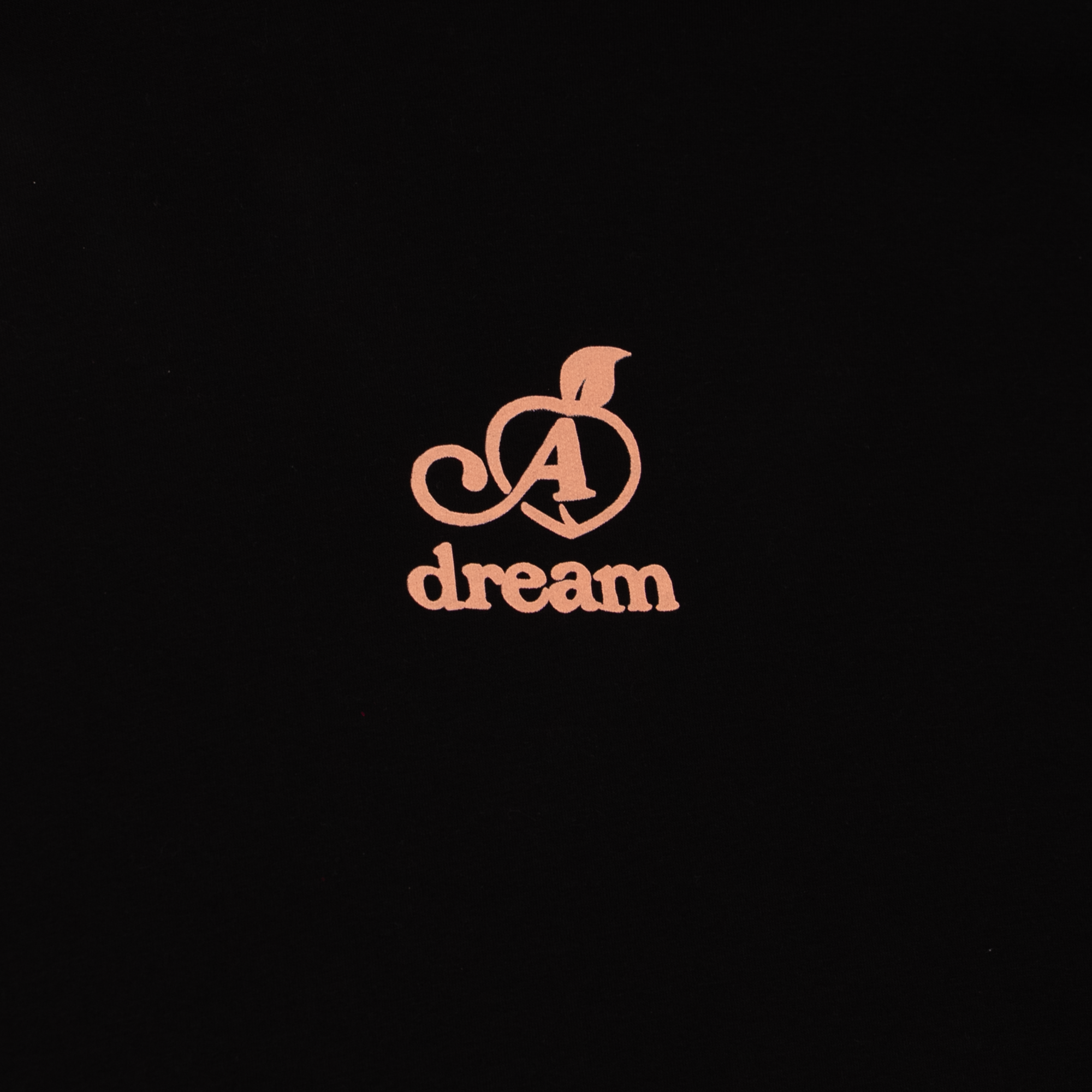 Logo with a stylized letter 'A' and the word 'dream' on a black hoodie